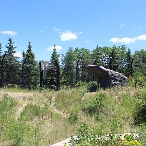 Polar Bear Exhibit #1 - Polar Bear Odyssey