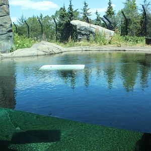 Polar Bear Exhibit #1 Underwater Viewing - Polar Bear Odyssey