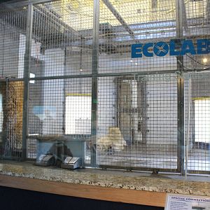 Demo Area - Polar Bear Odyssey