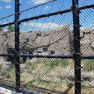 Polar Bear Exhibit #2 - Polar Bear Odyssey