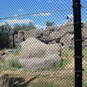 Polar Bear Exhibit #2 - Polar Bear Odyssey