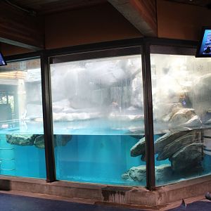 Former Puffin Exhibit - Aquatics Building