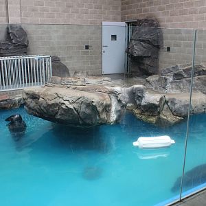Pinniped Indoor Exhibit #2 - Aquatics Building