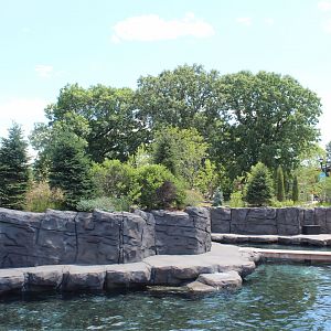 Seal and Sea Lion Amphitheater Exhibit - Como Harbor