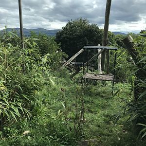 Sun bear enclosure from the top viewing area