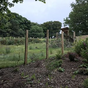 Male giant panda enclosure