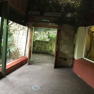 Magic forest entrance