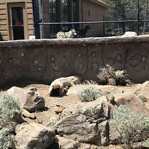 Hoodoo Pack and Ground Squirrels