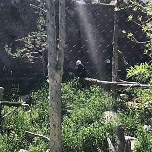 And then there were 2