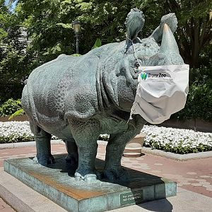Great Indian Rhinoceros statue