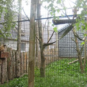 Munkholm Zoo - Capuchin monkey exhibit