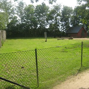 Munkholm Zoo - Ouessant sheep exhibit