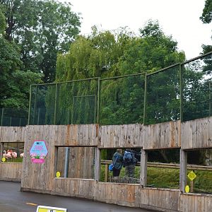 Raised fencing on flamingo enclosure