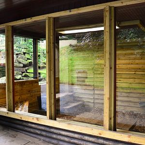 Renovated snow leopard on-show indoor area