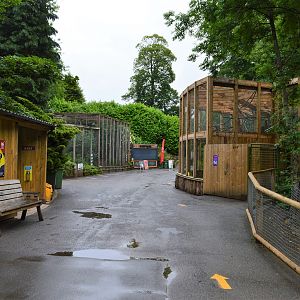 View towards sloth enclosure