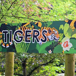 New tiger signage
