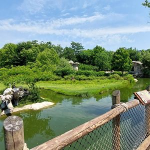 African plain overlook