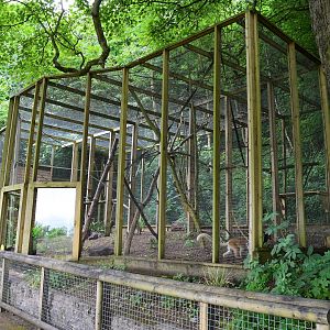 Black lemur enclosure