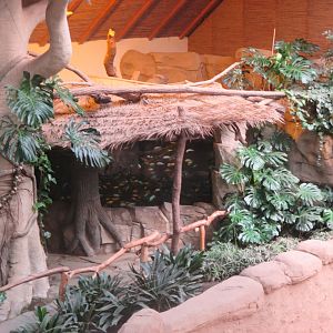 Aquarium in elephant house