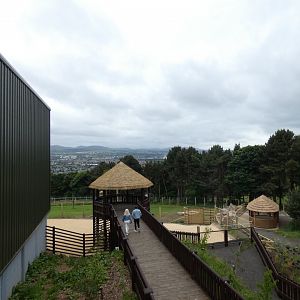 Giraffe viewing area