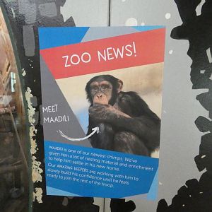 Separated chimp signage