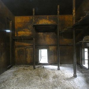 Gelada indoor enclosure (2)