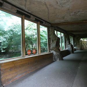 Tiger viewing area