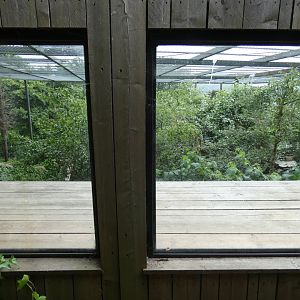 Older Sumatran tiger enclosure