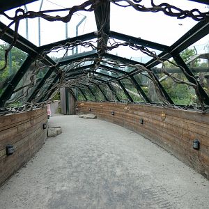 Sumatran tiger enclosure viewing area