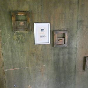 Giant anteater peep-hole viewing area