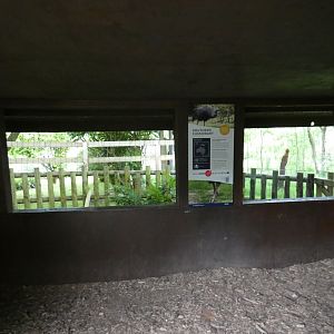 Southern cassowary viewing area