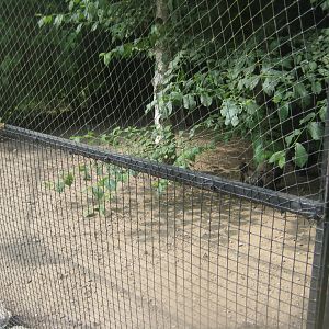 Munkholm Zoo - Chicken/pigeon aviary