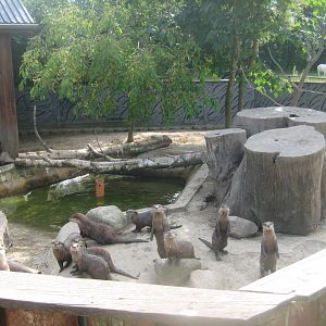 Munkholm Zoo - Otter exhibit