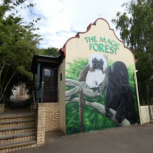 Magic Forest entrance