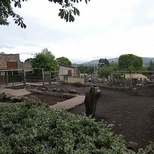 Upper Indian rhino enclosure