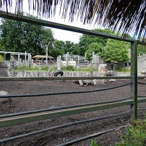 Lower Indian rhino enclosure