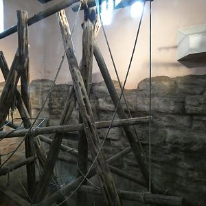 Chimpanzee indoor enclosure (2)