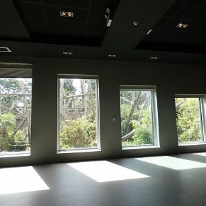 Chimpanzee viewing area