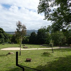 Wallaby Outback walk-through