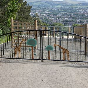 Giraffe gate