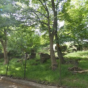 Siberian musk deer and Visayan spotted deer enclosure