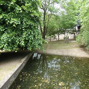 Outdoor Pygmy hippo enclosure