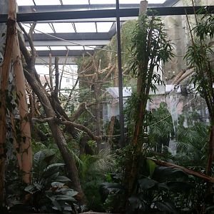 Black howler monkey indoor enclosure (January 2019)