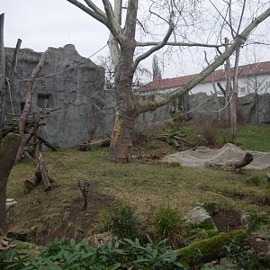 Giant anteater and black holwer monkey outdoor enclosure (January 2019)