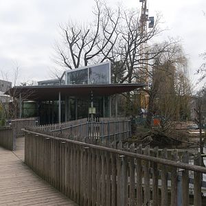 Northern white-cheeked gibbon house (January 2019)