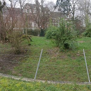 Maned wolf enclosure (January 2019)