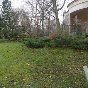 Ethiopian klipspringer outdoor enclosure (January 2019)