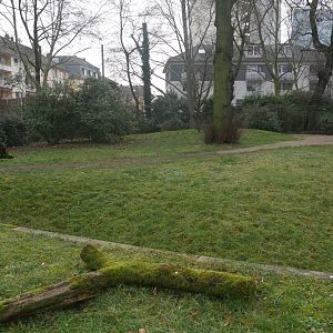 One of the okapis enclosures (January 2019)