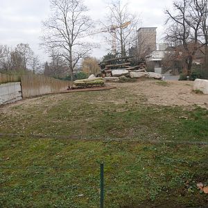 South-central black rhinoceros outdoor enclosure (January 2019)
