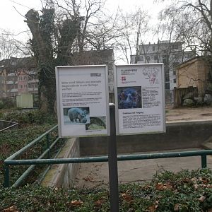 Common hippo outdoor enclosure (January 2019)